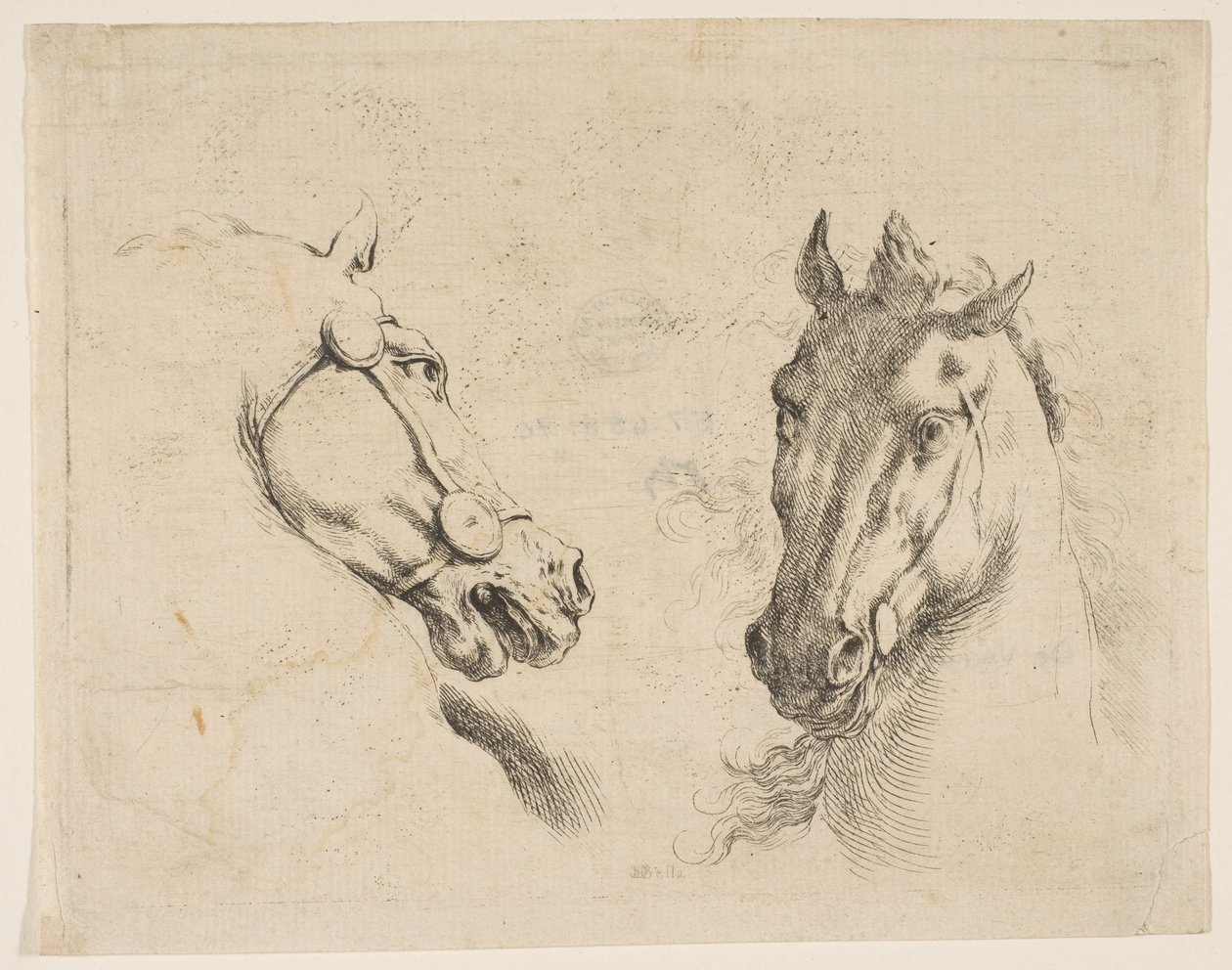İki At Kafası, ca. 1649. by Stefano della Bella