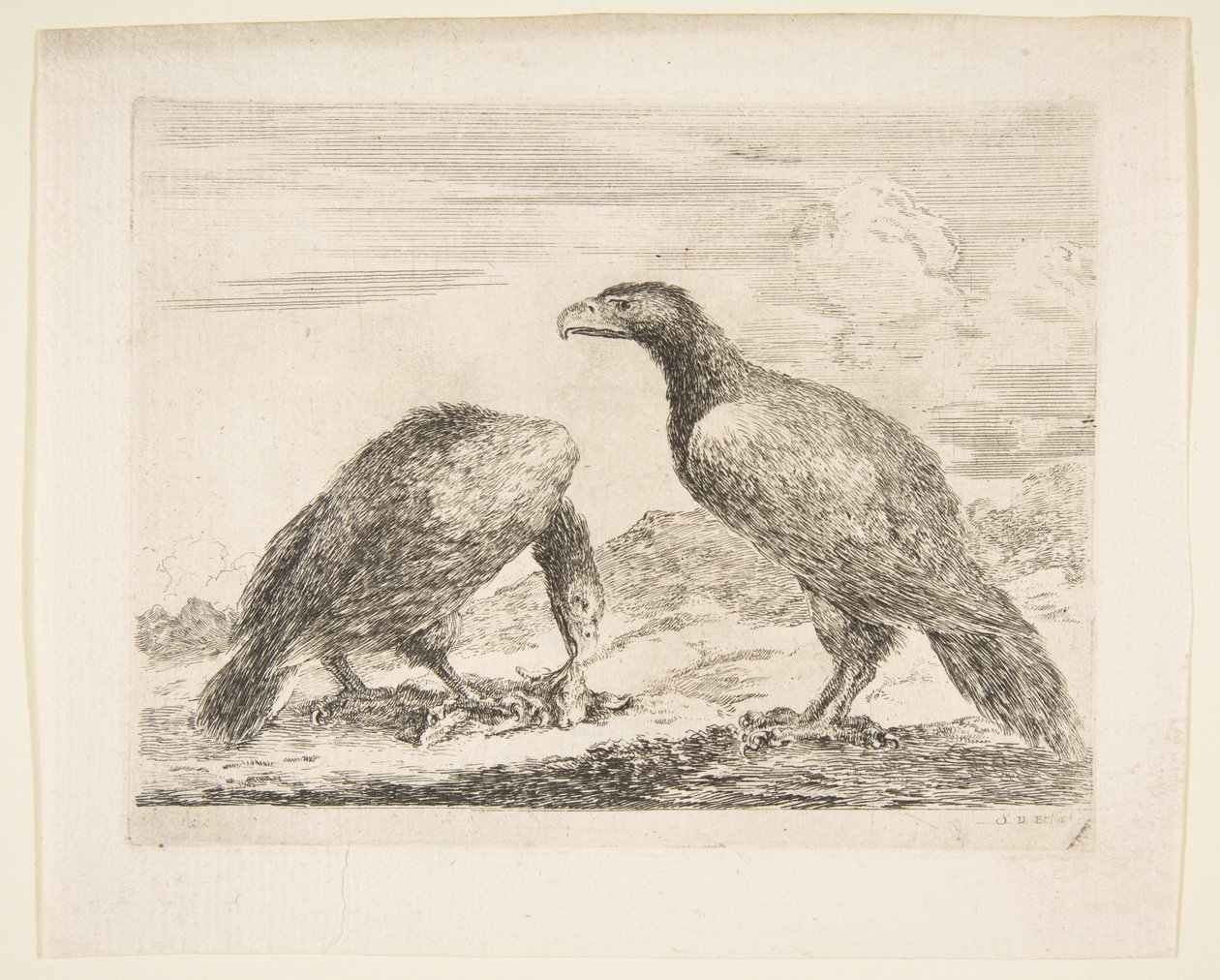 Eagles Les aigles