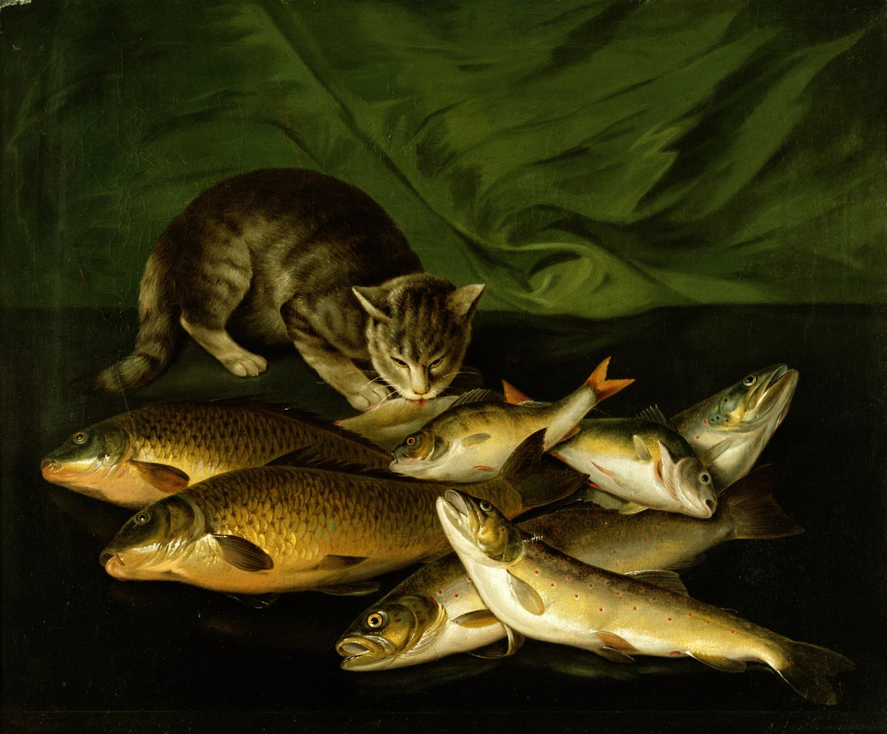Çıkıntıda Alabalık, Levrek ve Sazan Olan Bir Kedi by Stephen Elmer