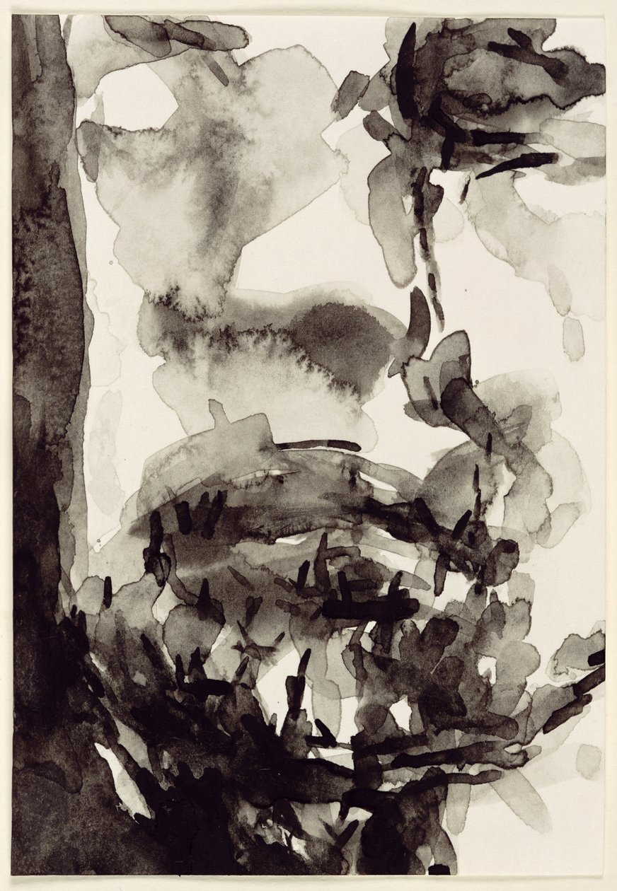 Yüz, 2001 (kağıt üzerinde wc) by Stephen Finer
