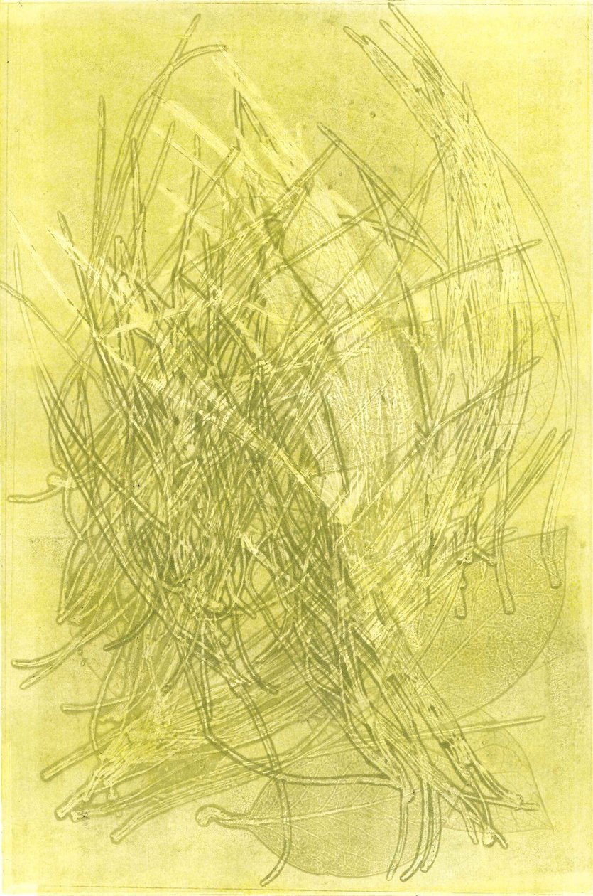  by Stephen Dow