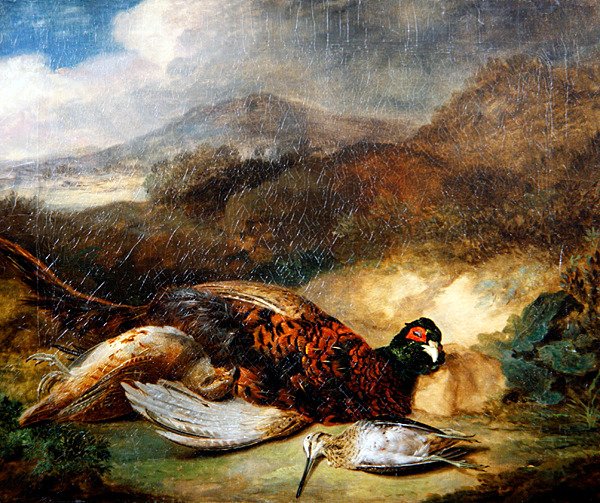 Bir Köy Manzarasında Sülün ve Çulluk (tuval üzerine yağlı boya) by Stephen Elmer