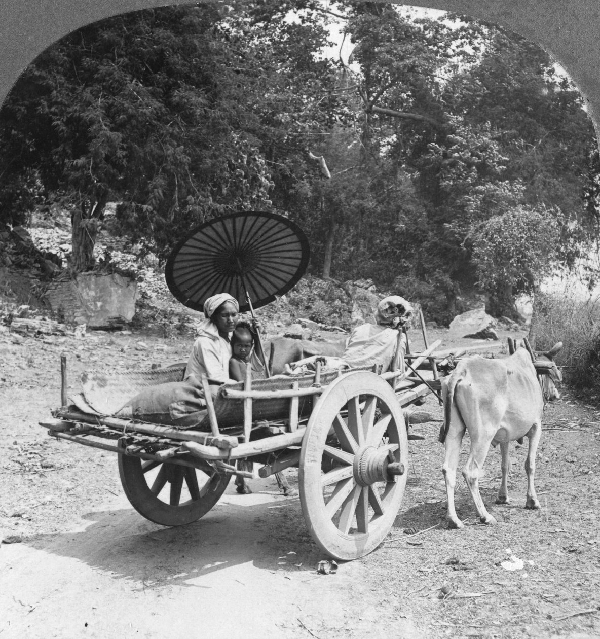 Mingun, Burma, 1908 yakınlarındaki ormanda yolculuk yapan aile by Stereo Travel Co