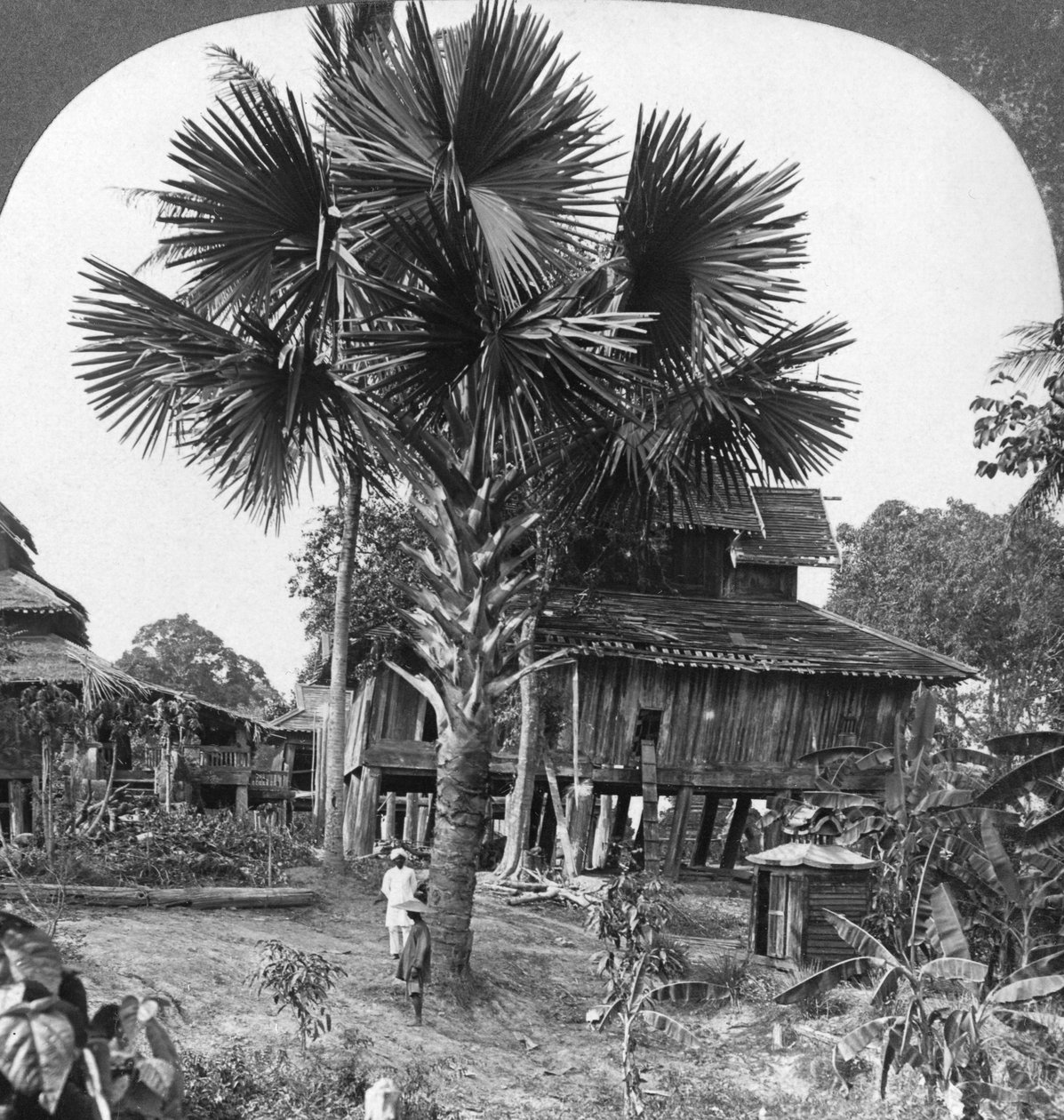 Kazıklar üzerine inşa edilmiş yerli ev, Bhamo, Burma, 1908 by Stereo Travel Co