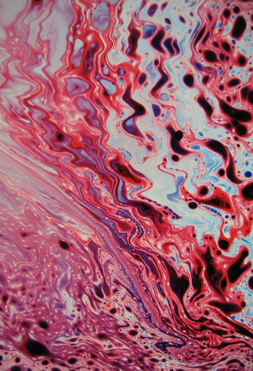  by Steve Pavlovsky