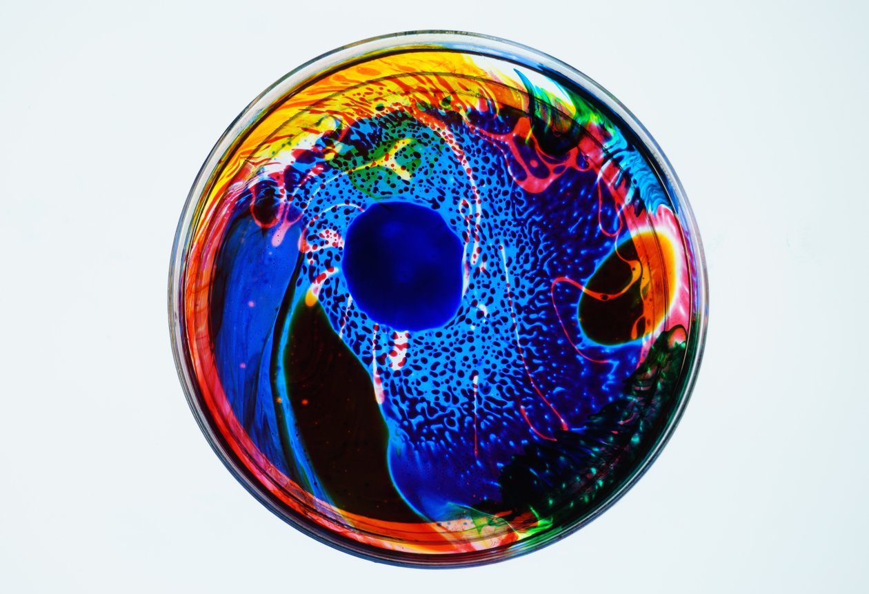 Koan, 2024 by Steve Pavlovsky