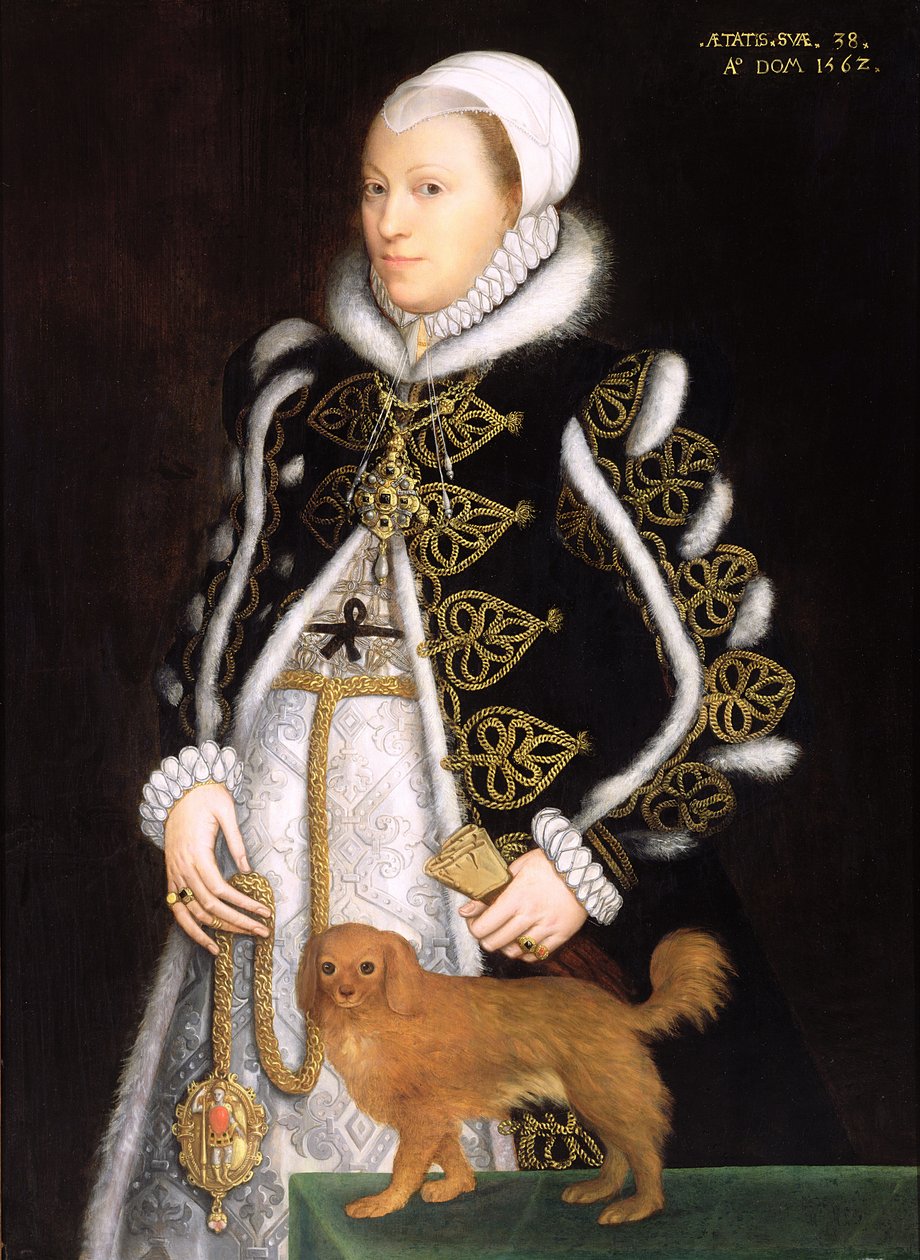 Bir Kadının Portresi, muhtemelen Catherine Carey, Lady Knollys by Steven van der Meulen