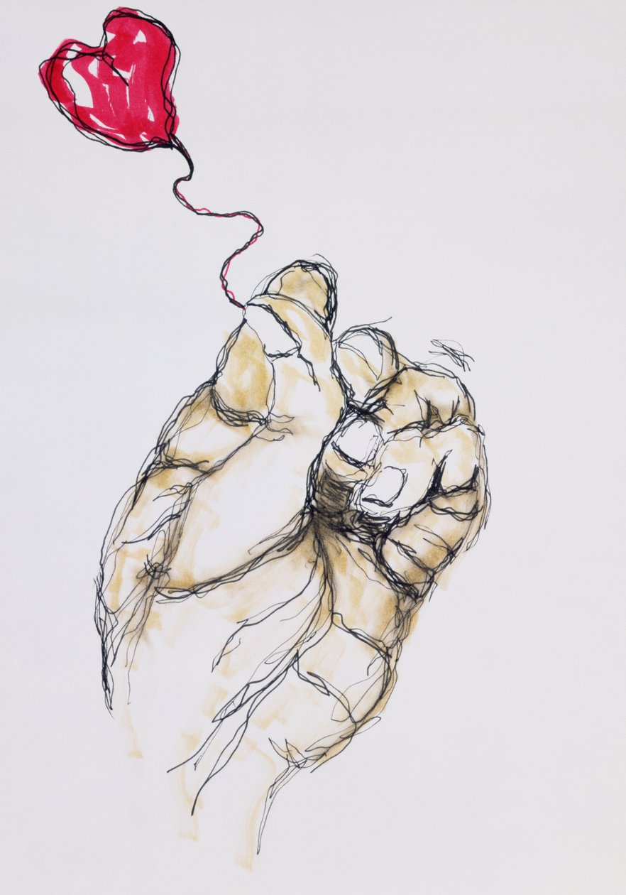 Seni Tutan, 1996 (kağıt üzerinde kalem & wc) by Stevie Taylor