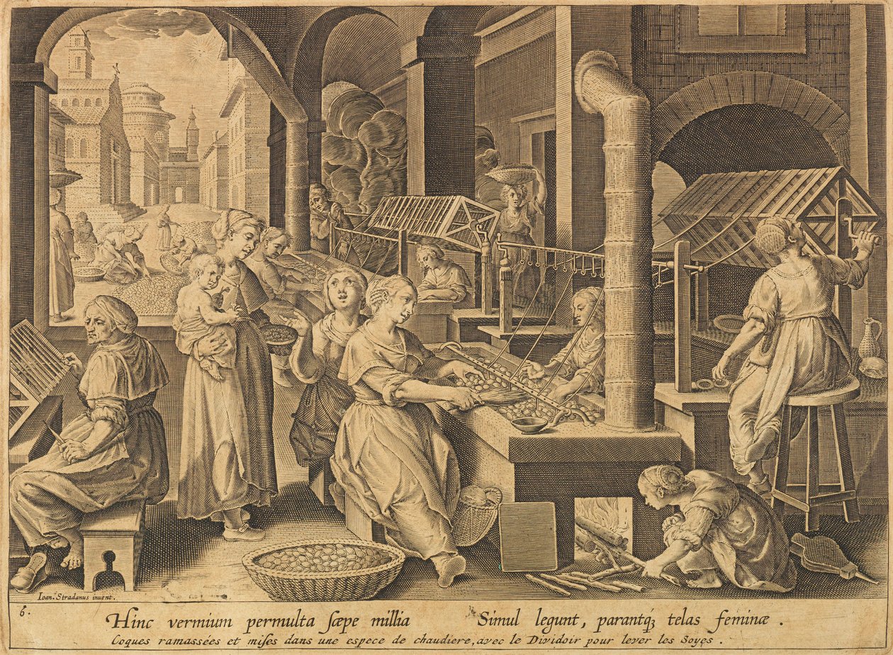 İpek Ekstraksiyonu Vermis sericus, 1640