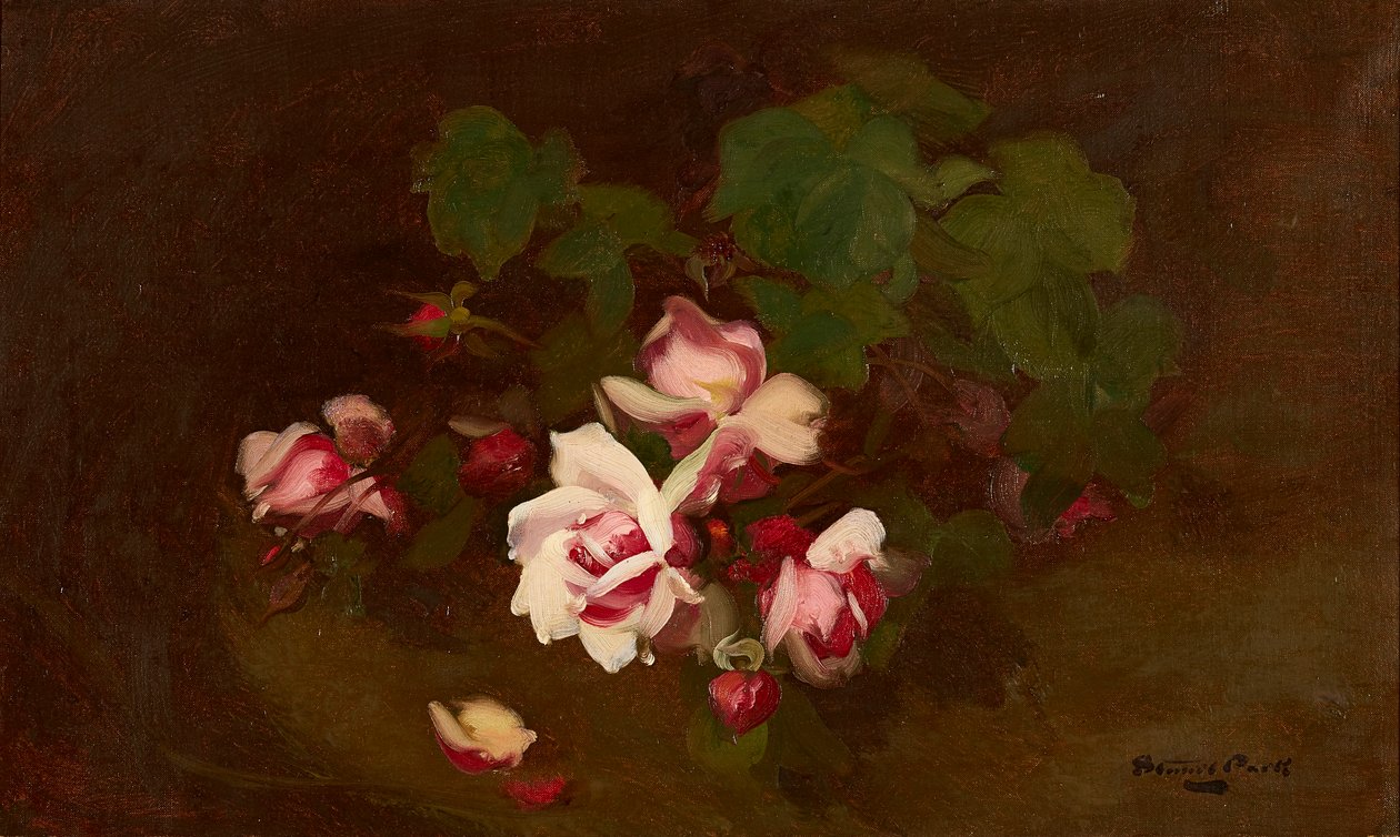Açmış Güller (tuval üzerine yağlı boya) by Stuart Park