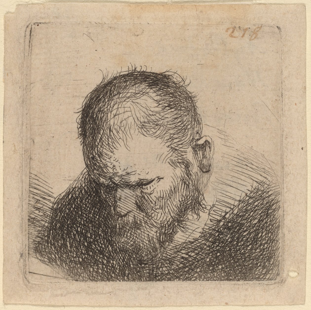 Sakallı adam aşağı bakıyor by Studio of Rembrandt van Rijn