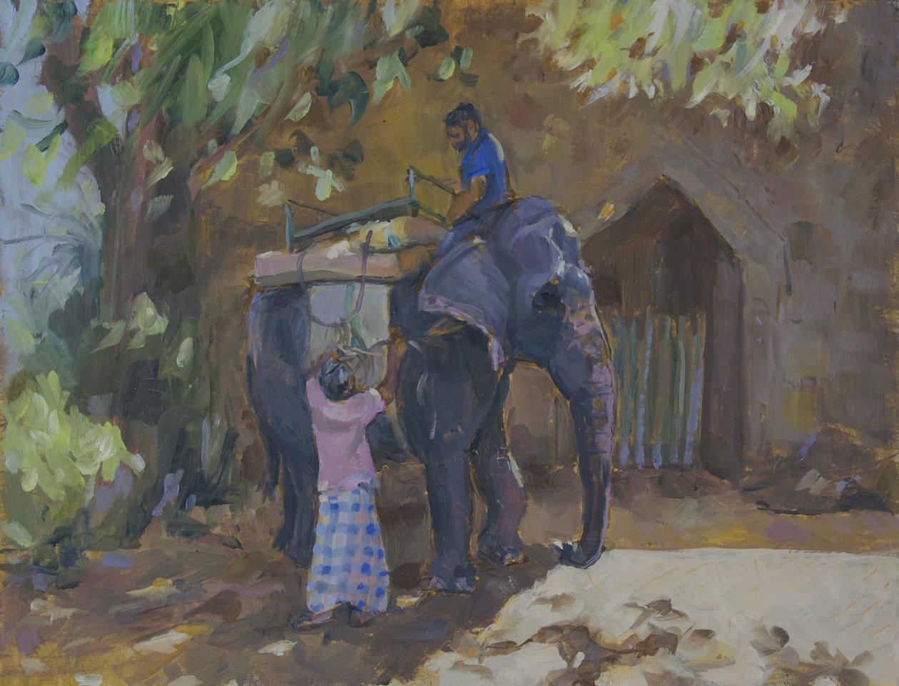 Fil, Sri Lanka, 2015, by Sue Wales