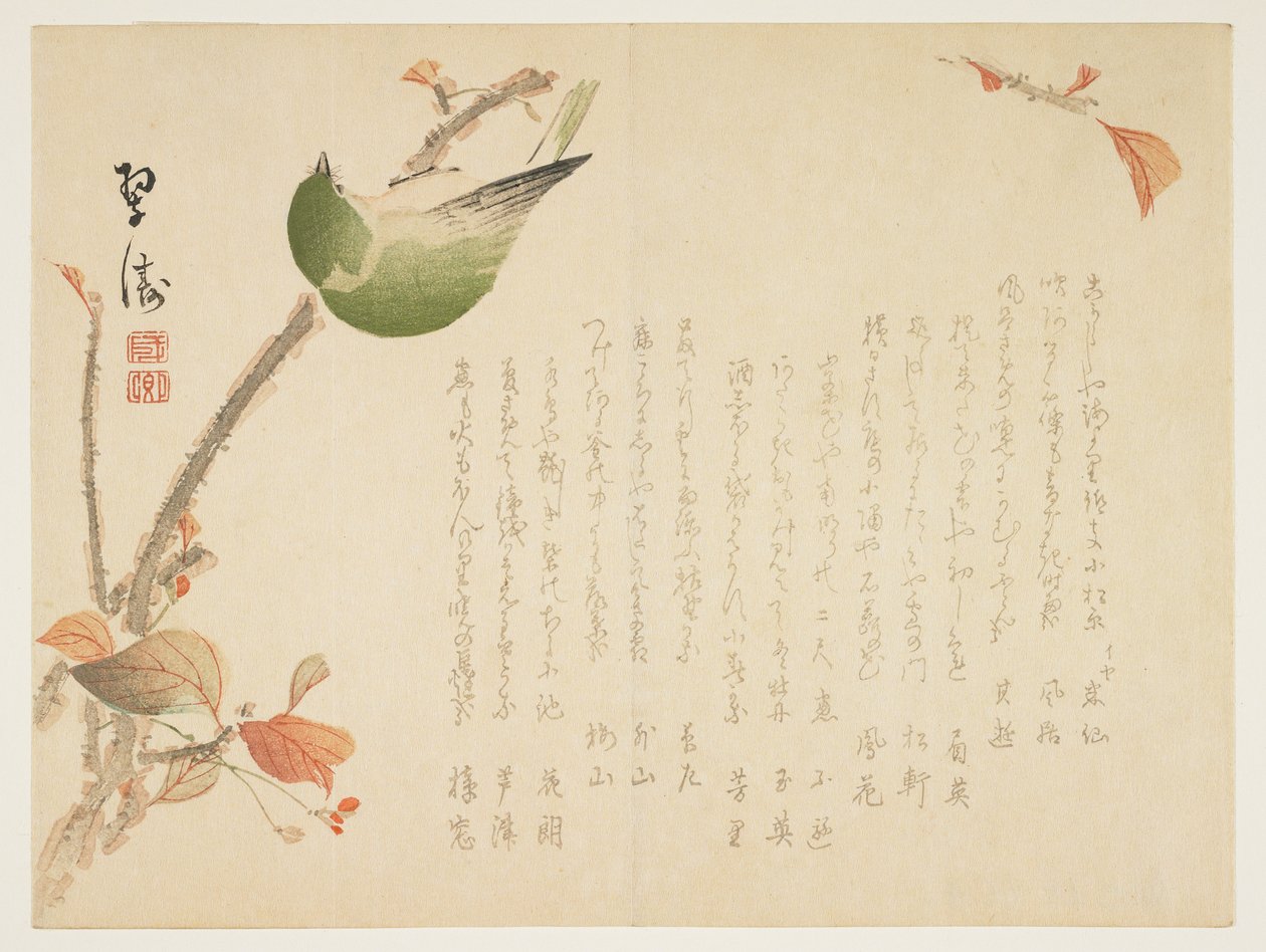 Bir dalda tünemiş Japon bülbülü (renkli tahta baskı) by Suit