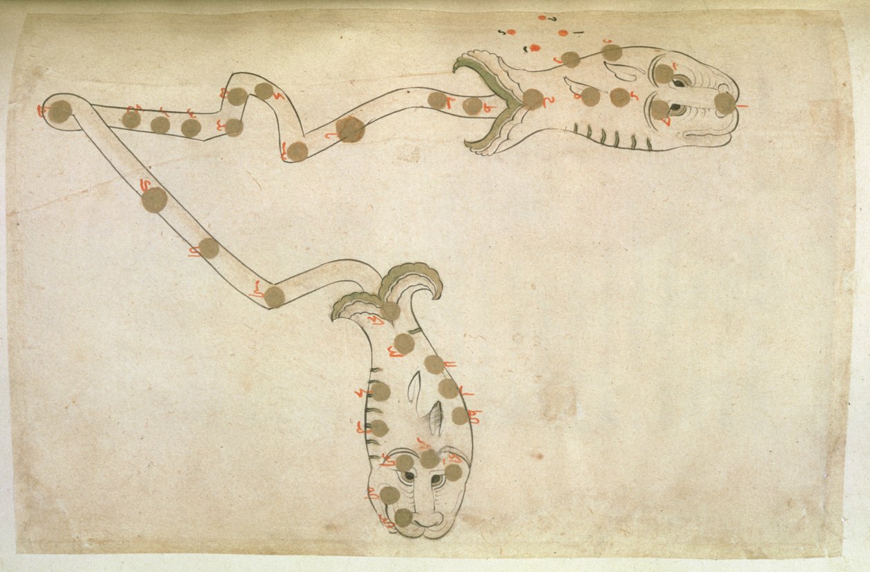 Zodyak Temsilleri: Balık, balıklar, 1497-1498 (903 Hicri) by Suvar Al Kavakib