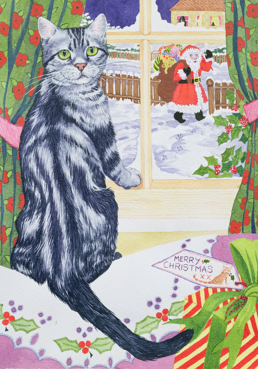Toby için bir Noel ziyaretçisi by Suzanne Bailey