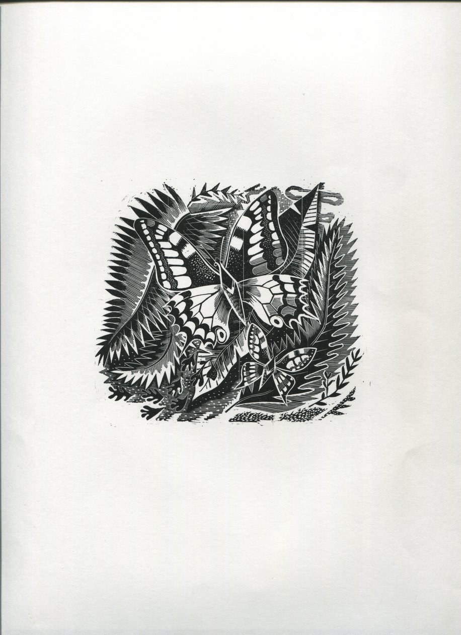 Tropikal Kelebekler (ahşap gravür) by Suzanne Cooper