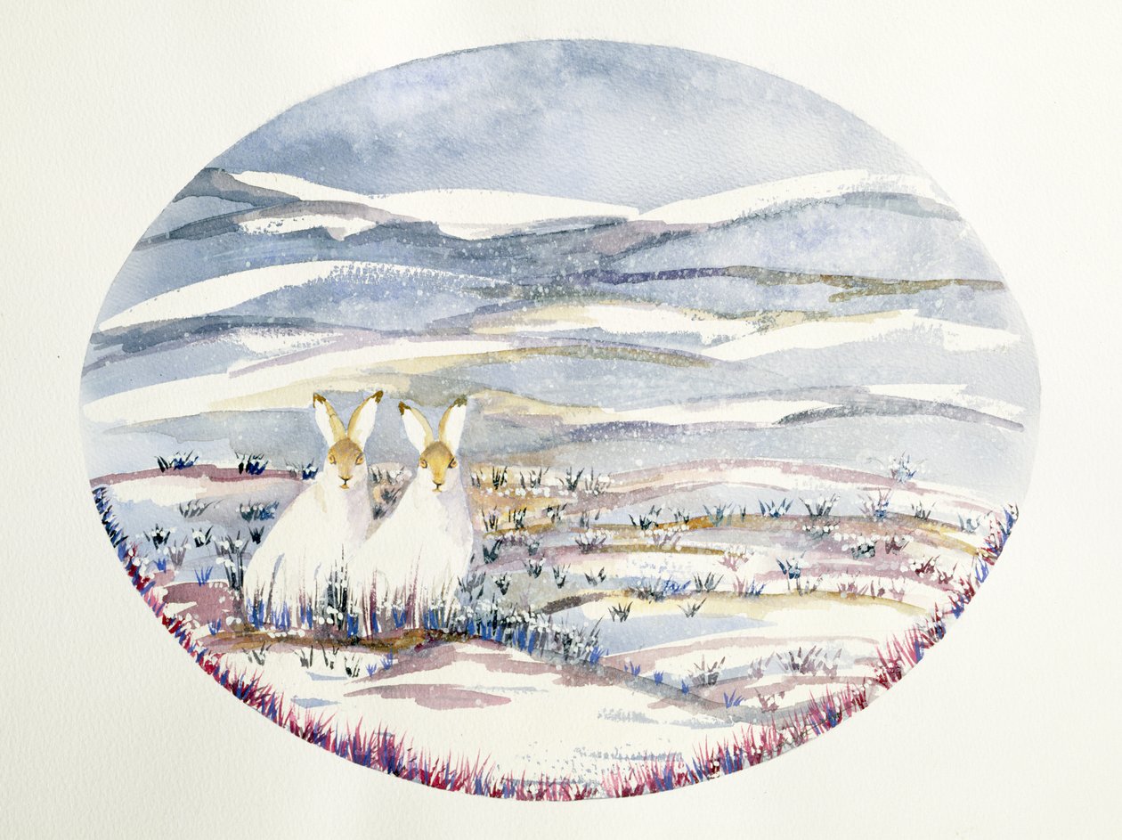 Karlı Bir Manzarada İki Tavşan (wc) by Suzi Kennett
