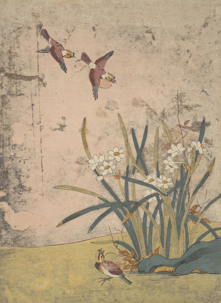 Kuşlar ve Nergis. by Suzuki Harunobu