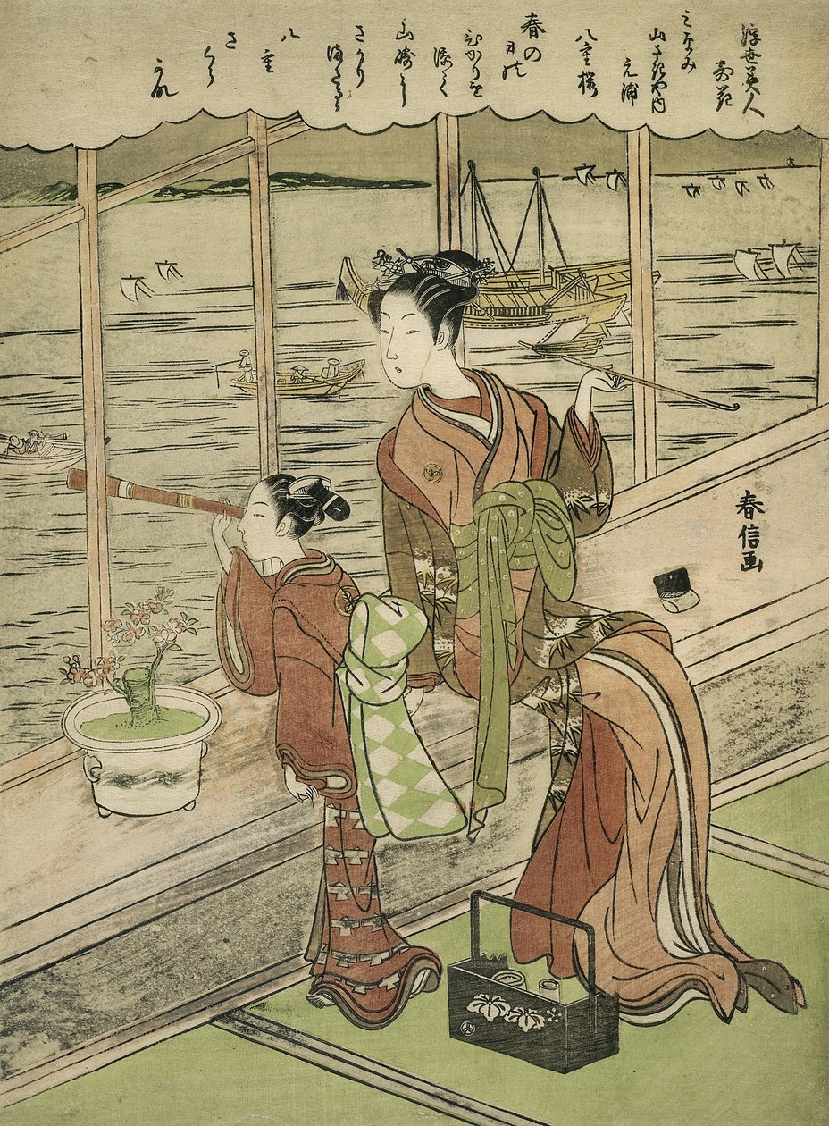 Çift Çiçekli Kiraz: Minami Yamasakiya
