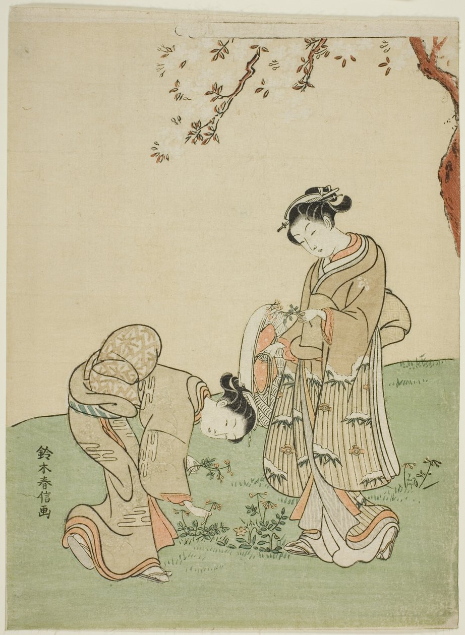Bahar Çiçekleri Toplama by Suzuki Harunobu
