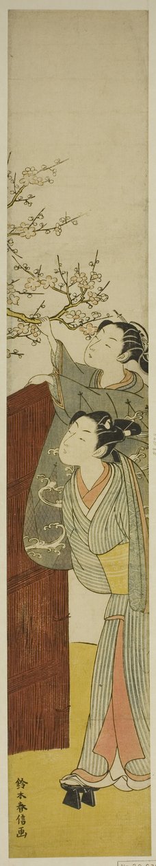 Erik Dalı Seçmek by Suzuki Harunobu