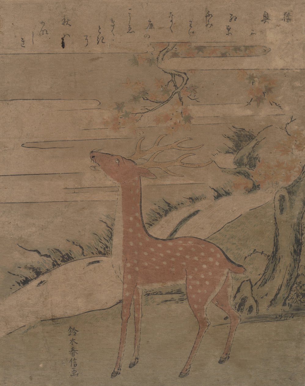 Geyik Çığlığı, yak. 1760., yaklaşık 1760. by Suzuki Harunobu