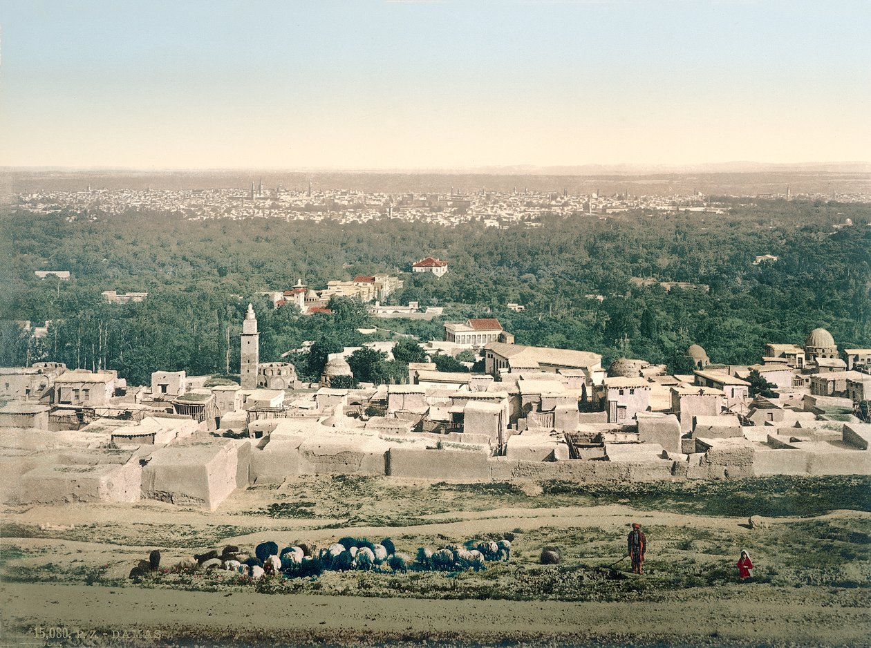 Şam