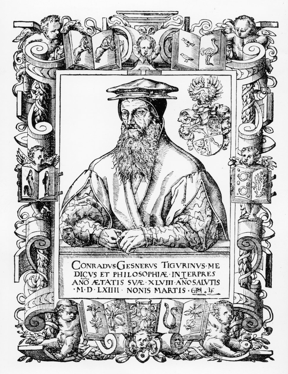 Conrad Gesner by Swiss School