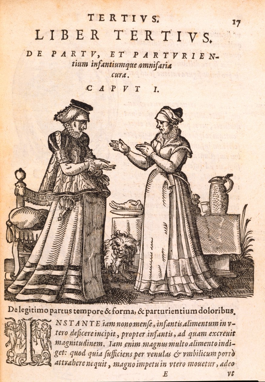 Eli yaralı bir hastaya bakan hemşire, Jakob Ruf tarafından yazılan De Concepta et Generatione Hominis, 1587 (kağıt üzerine baskı ve gravür) by Swiss School