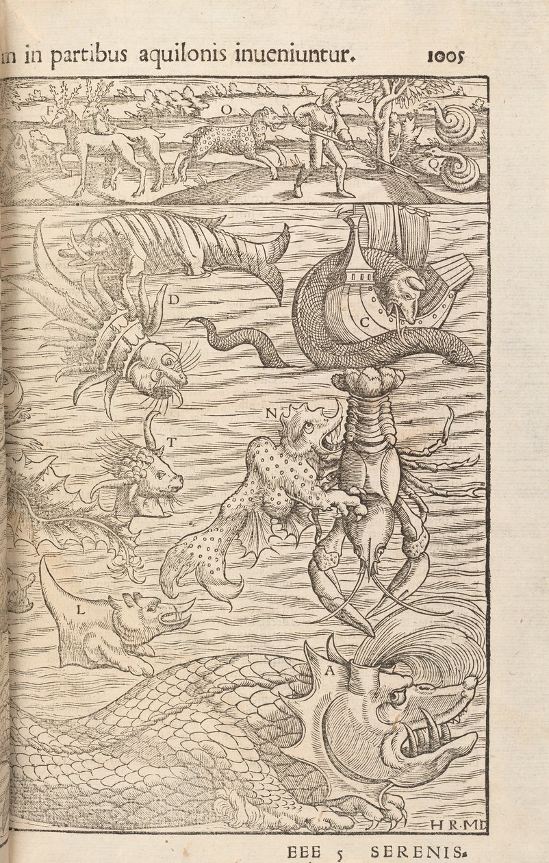 Sayfa 1005, Cosmographiae Universalis, Sebastian Muenster, Basel, 1572 by Swiss School