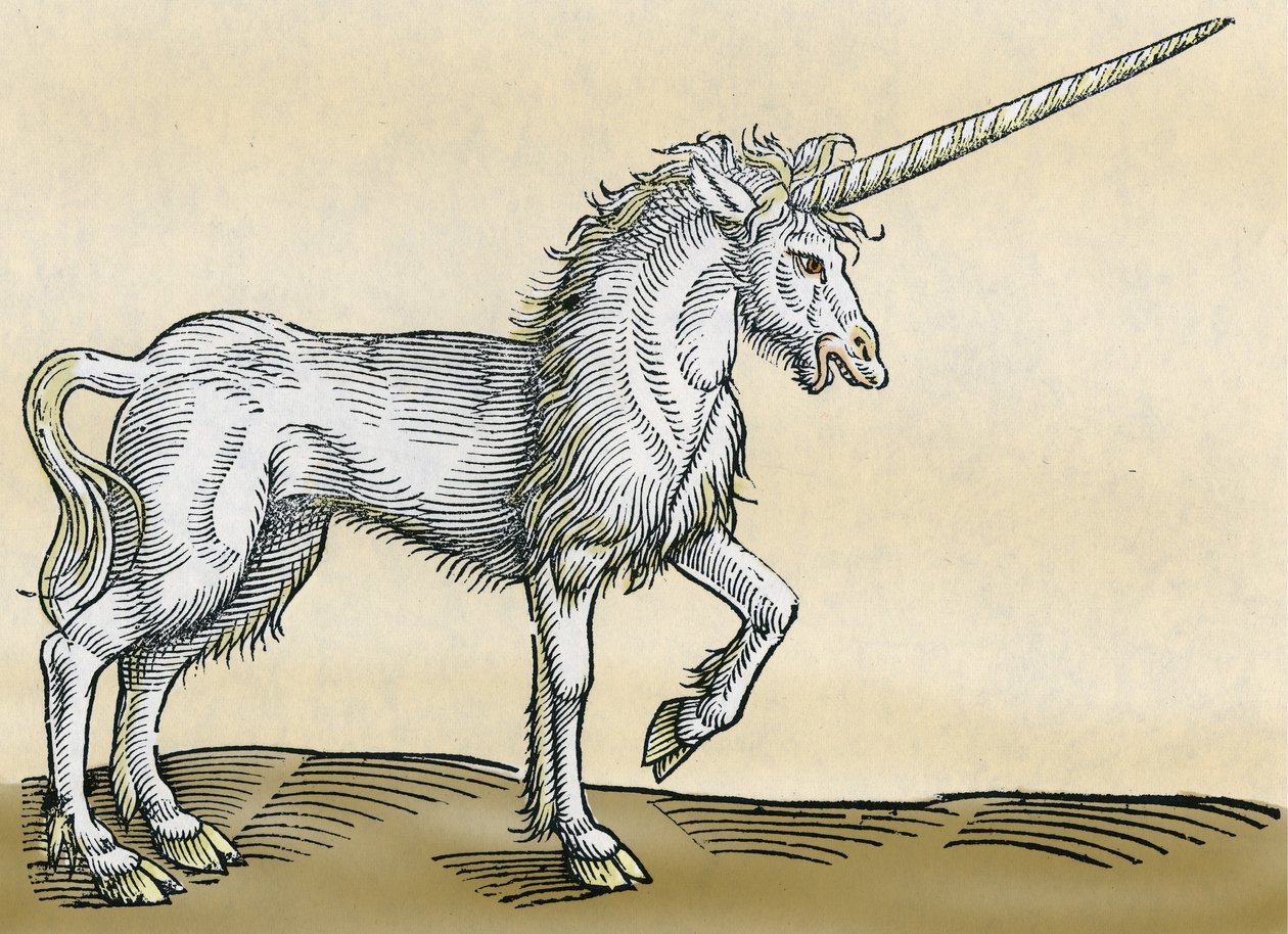 Tek boynuzlu at, Conrad Gesner tarafından Historia Animalium