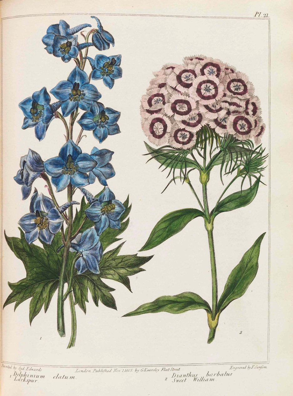Alexander McDonald, 1807