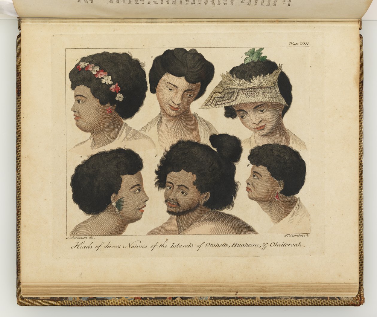 Çeşitli yerlilerin başları, Güney Denizlerine yapılan bir yolculuğun günlüğünden bir çizim: Majestelerinin gemisinde, Endeavour, 1794 (el renkli gravür) by Sydney