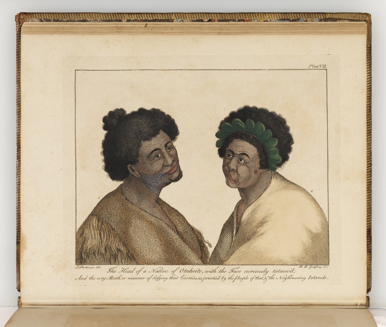 Otaheite yerlisinin başı, Güney Denizlerine yapılan bir yolculuğun günlüğünden bir örnek: Majestelerinin gemisinde, Endeavour, 1794 (el boyaması gravür) by Sydney