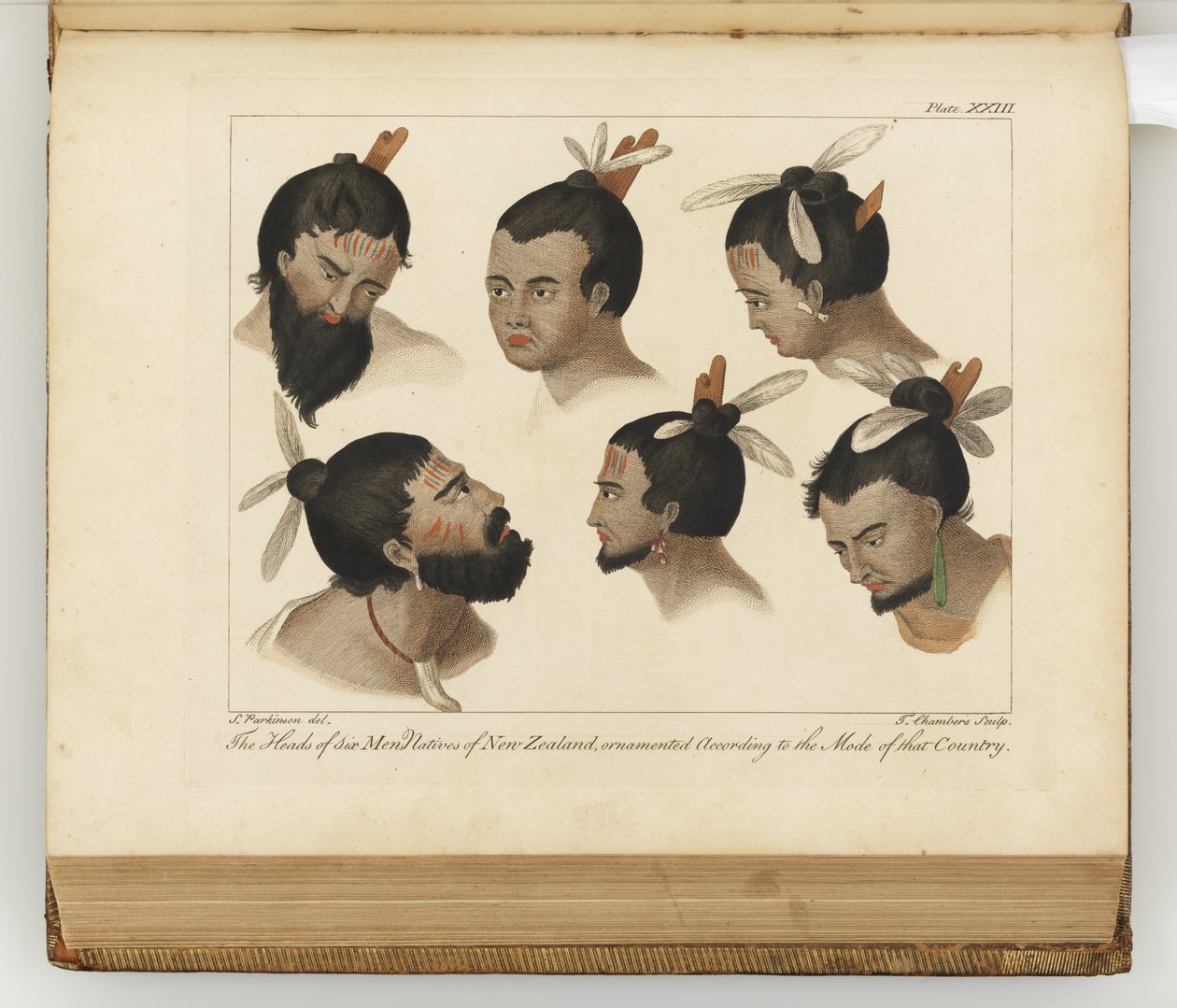 Altı adamın başları, Güney Denizlerine yapılan bir yolculuğun günlüğünden bir örnek: Majestelerinin gemisinde, Endeavour, 1794 (el boyaması gravür) by Sydney