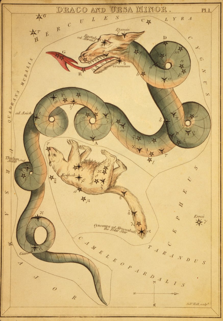 Draco ve Küçükayı, 