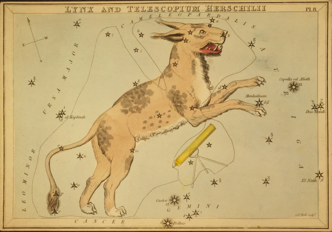 Lynx ve Telescopium Herschilii, 