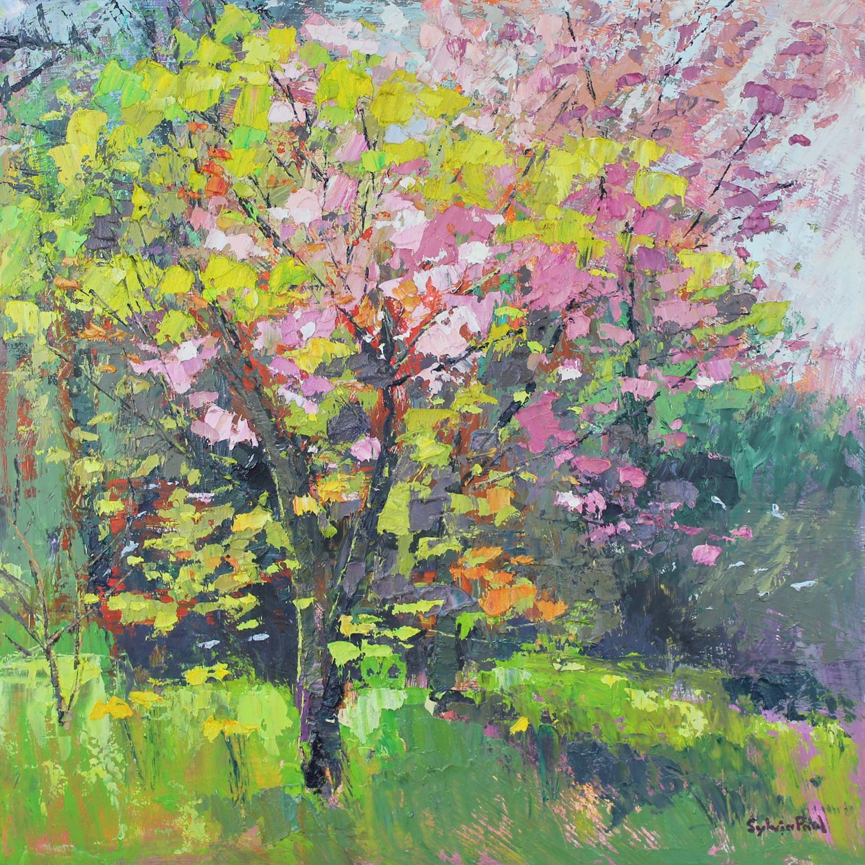 çiçek lokumu by Sylvia Paul
