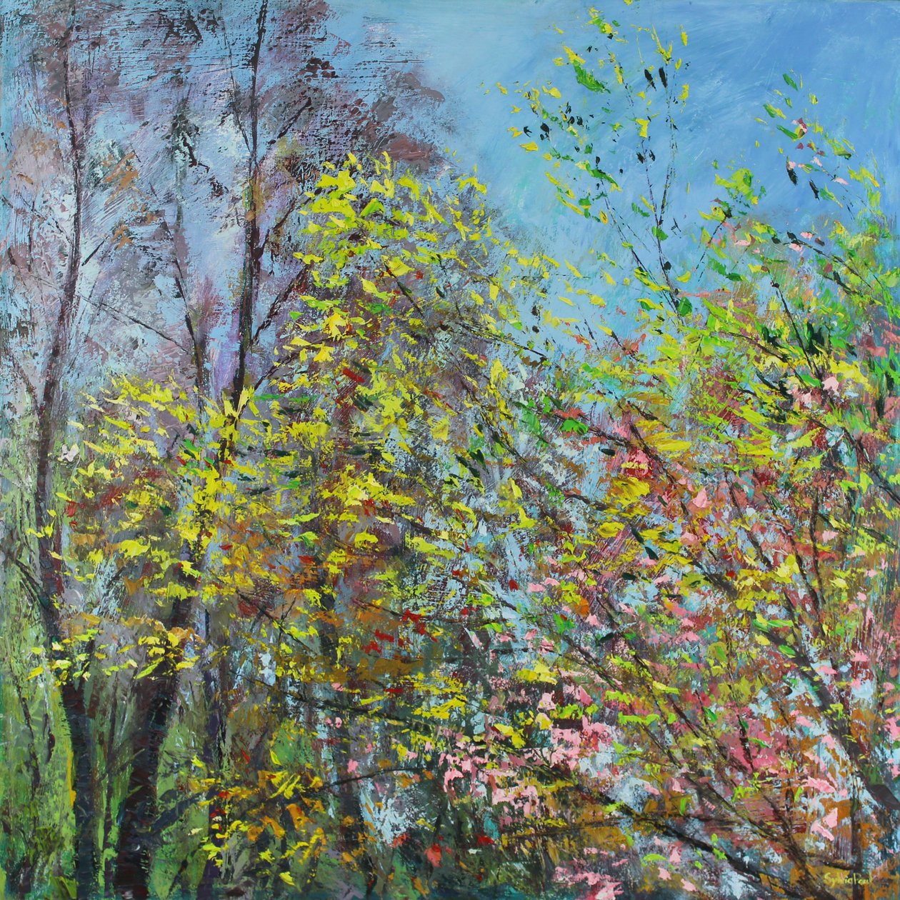 Baharın Narin Yaprakları by Sylvia Paul