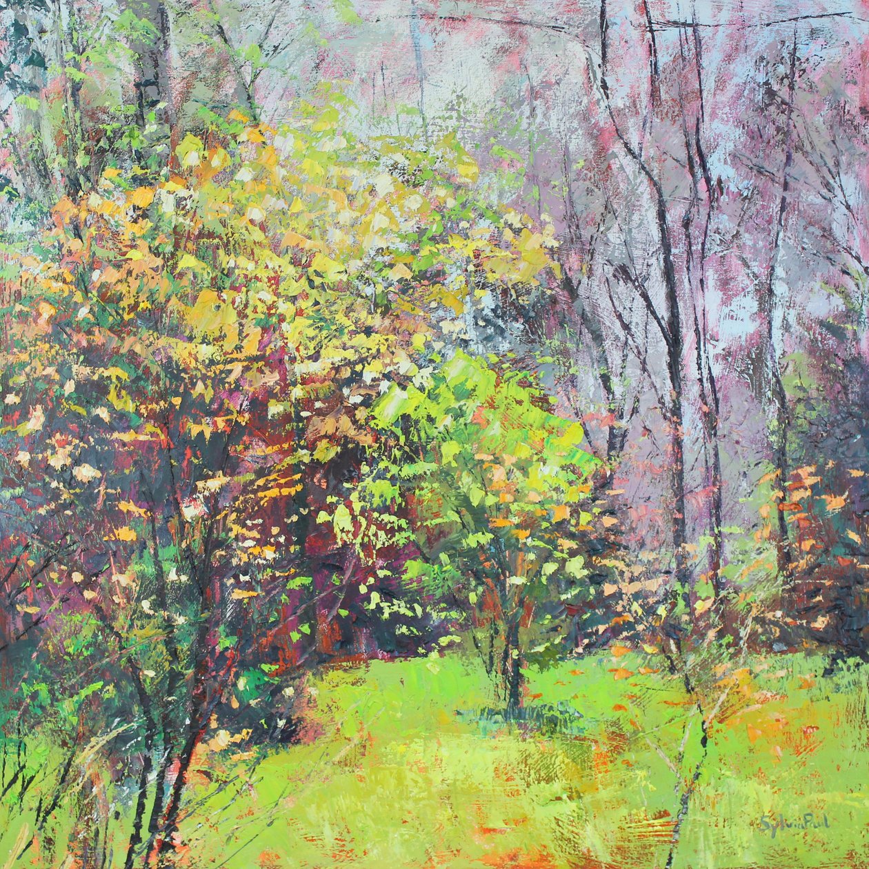 Bahar Işıltısı by Sylvia Paul