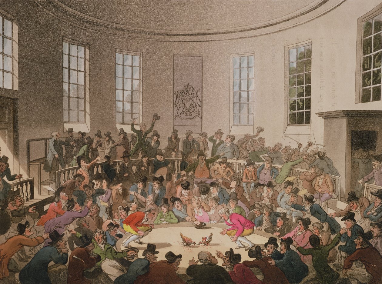 Royal Cock Pit, 1808, John Bluck tarafından oyulmuş (fl.1791-1819) by Pugin and Rowlandson