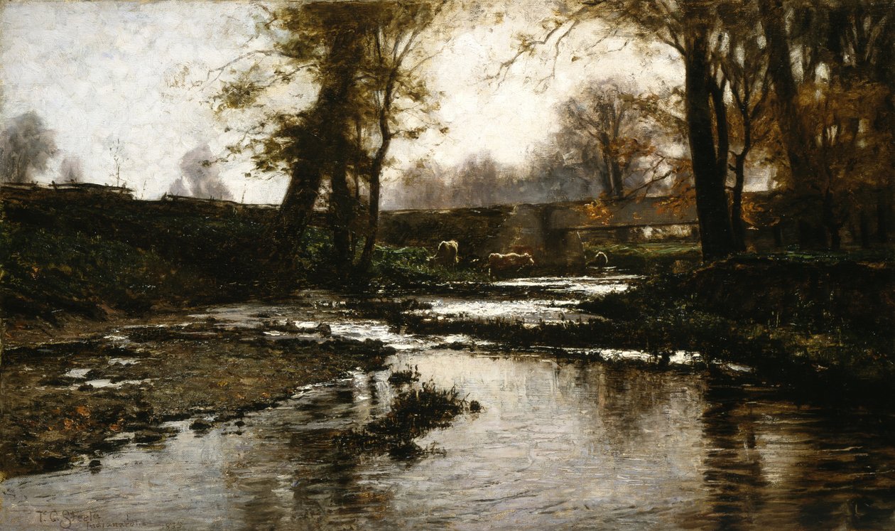 keyifli koşu by T.C. Steele