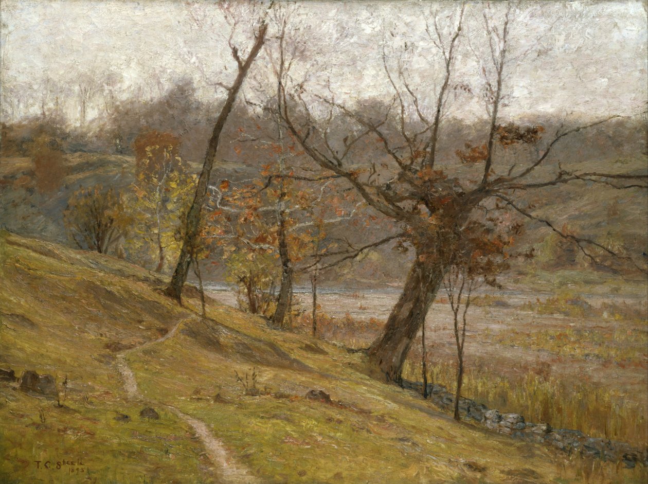 Üzüm Çiçeği by T.C. Steele