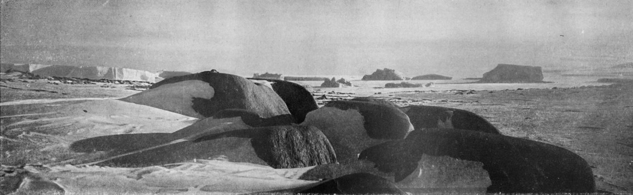 Cape Roberts