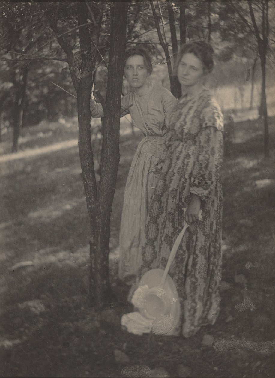 Ormanda, c. 1899 (fotoğraf) by T. M. Edmiston