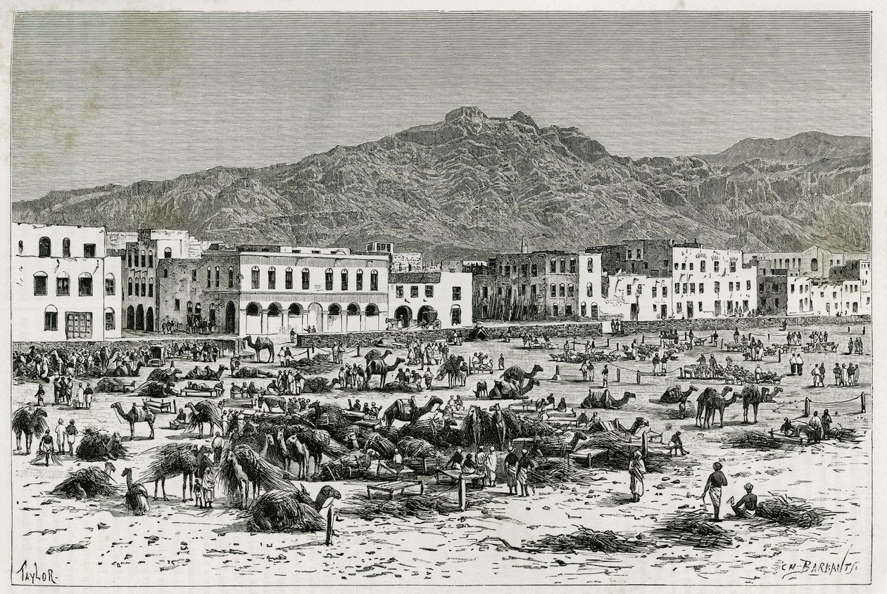 Aden (Yemen) yürüyüşü. Taylor