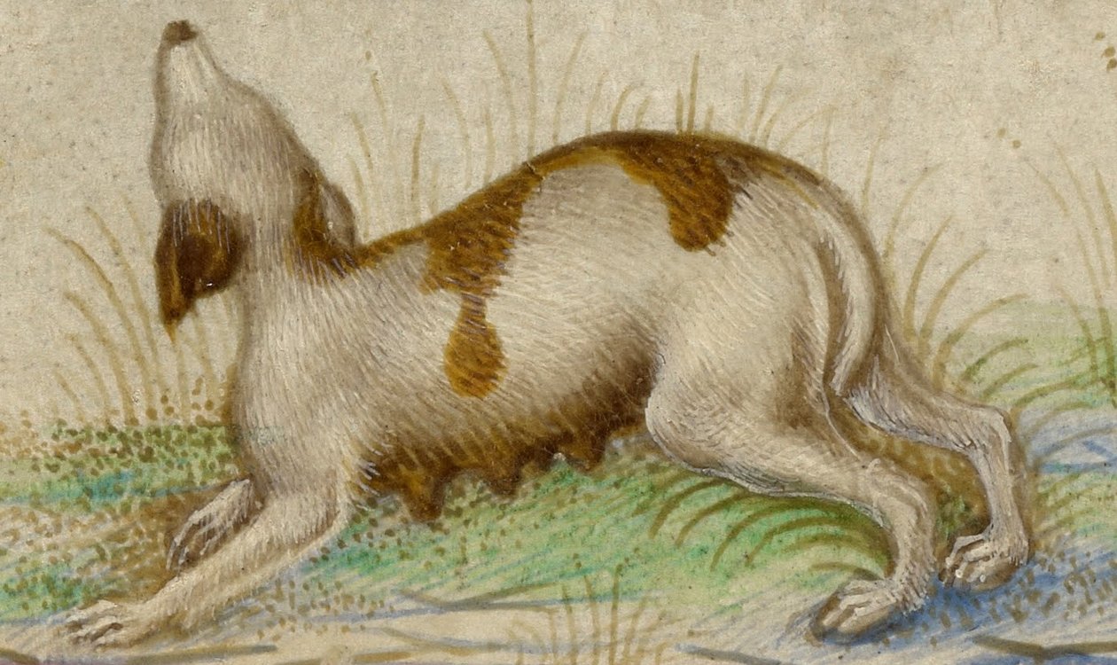 Saatler by Taddeo Crivelli
