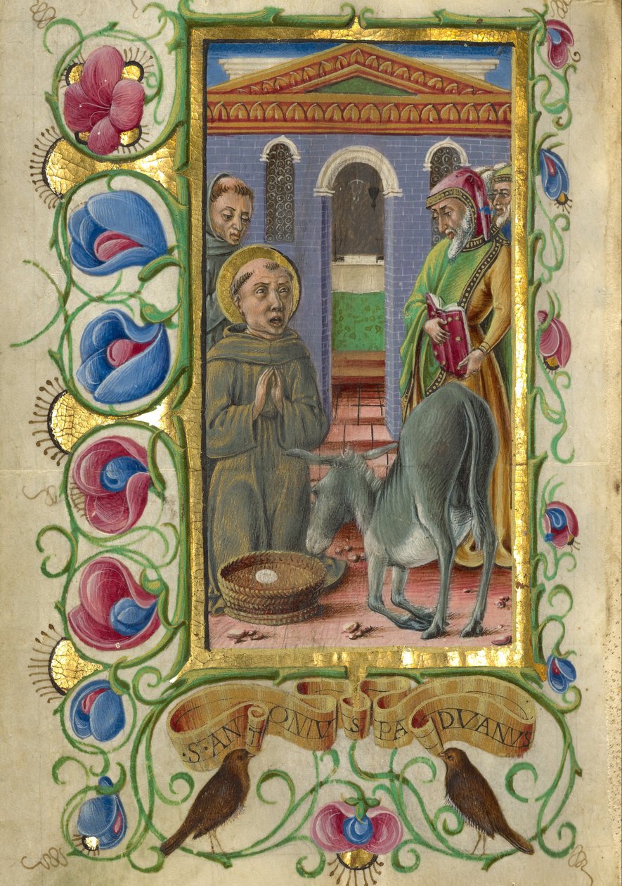 Padovalı Sir Anthony by Taddeo Crivelli