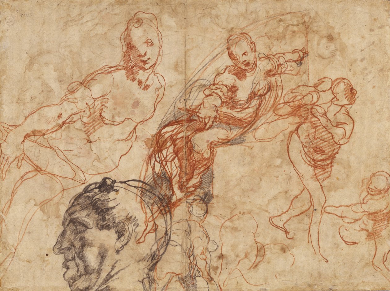  by Taddeo Zuccaro
