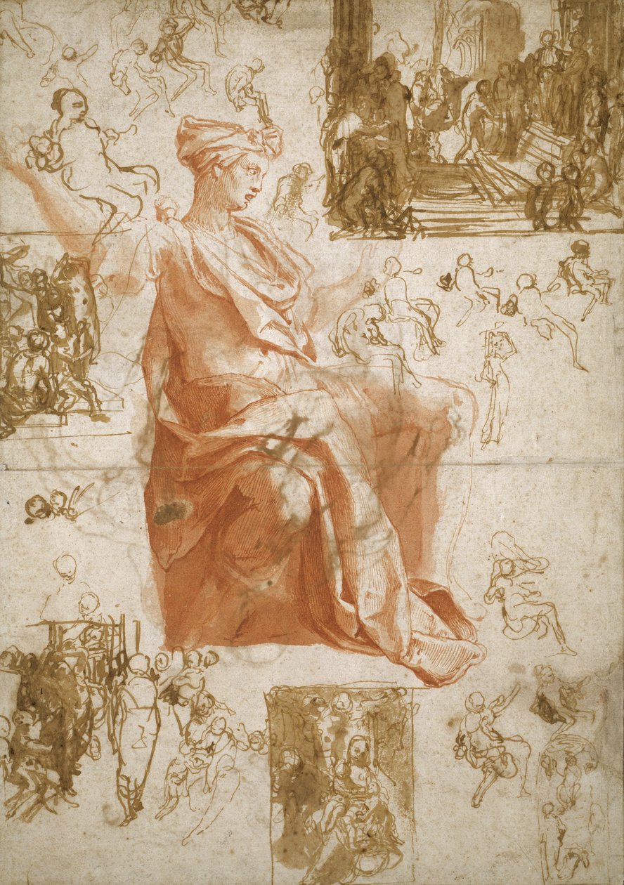 Elymas